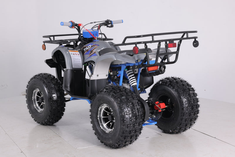 Taotao T-Force Platinum 120cc Youth ATV | Automatic with Reverse | New Design Quad