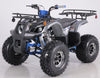 Taotao T-Force Platinum 120cc Youth ATV | Automatic with Reverse | New Design Quad