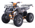Taotao T-Force Platinum 120cc Youth ATV | Automatic with Reverse | New Design Quad