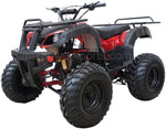 RPS TK200-B5 200cc Automatic ATV
