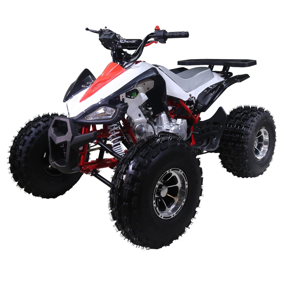 taotao 125cc new Cheetah mid size atv automatic-with-reverse 4-stroke