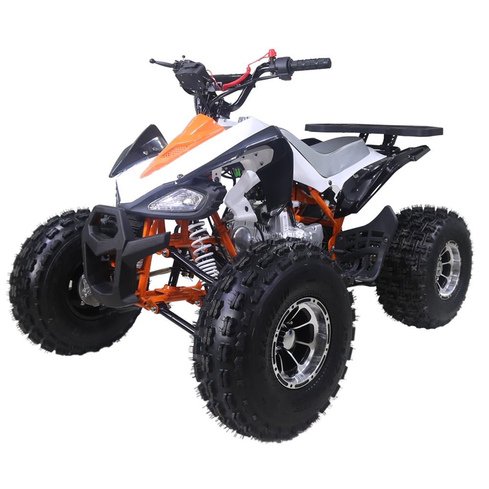 taotao 125cc new Cheetah mid size atv automatic-with-reverse 4-stroke