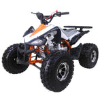 Tao Motor Cheetah 125cc Automatic ATV