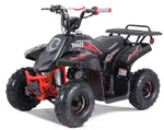 Taotao Rock 110cc Youth ATV with Reverse | New Design Automatic Quad