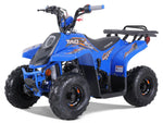 Taotao Rock 110cc Youth ATV with Reverse | New Design Automatic Quad