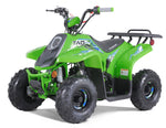 Taotao Rock 110cc Youth ATV with Reverse | New Design Automatic Quad