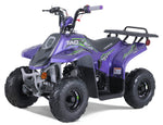 Taotao Rock 110cc Youth ATV with Reverse | New Design Automatic Quad