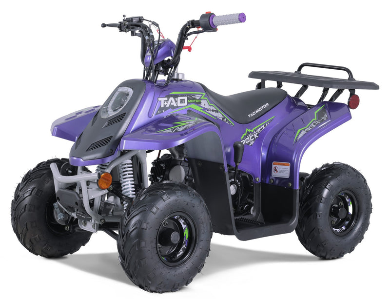 Taotao Rock 110cc Youth ATV with Reverse | New Design Automatic Quad