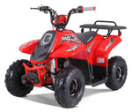 Taotao Rock 110cc Youth ATV with Reverse | New Design Automatic Quad