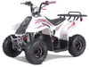 Taotao Rock 110cc Youth ATV with Reverse | New Design Automatic Quad