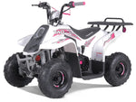 Taotao Rock 110cc Youth ATV with Reverse | New Design Automatic Quad