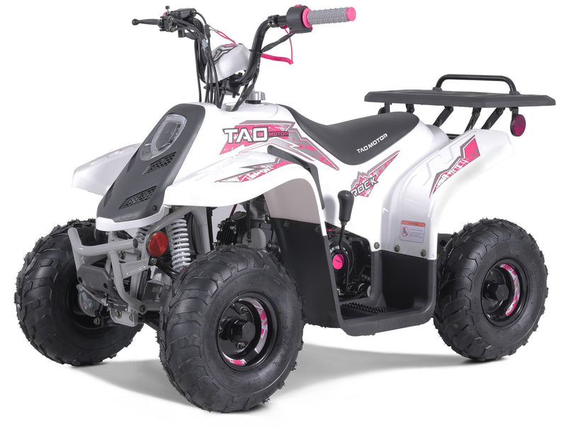 Taotao Rock 110cc Youth ATV with Reverse | New Design Automatic Quad