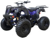 RPS TK200-B5 200cc Automatic ATV