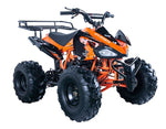 Vitacci JET-9 125cc ATV | OHC 4-Stroke | Automatic with Reverse | CARB Approved