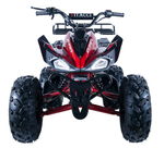 Vitacci JET-9 125cc ATV | OHC 4-Stroke | Automatic with Reverse | CARB Approved