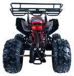 Vitacci JET-9 125cc ATV | OHC 4-Stroke | Automatic with Reverse | CARB Approved