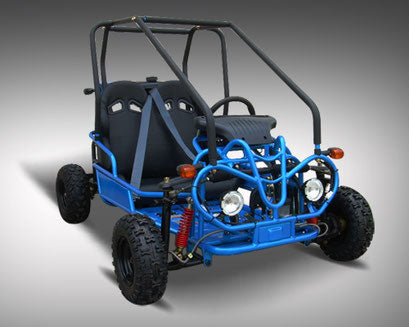 Vitacci Mini Raptor 125 Go-Kart | 125cc 4-Stroke Automatic w/ Reverse