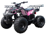RPS U8-SP 125cc ATV (Electric Start)